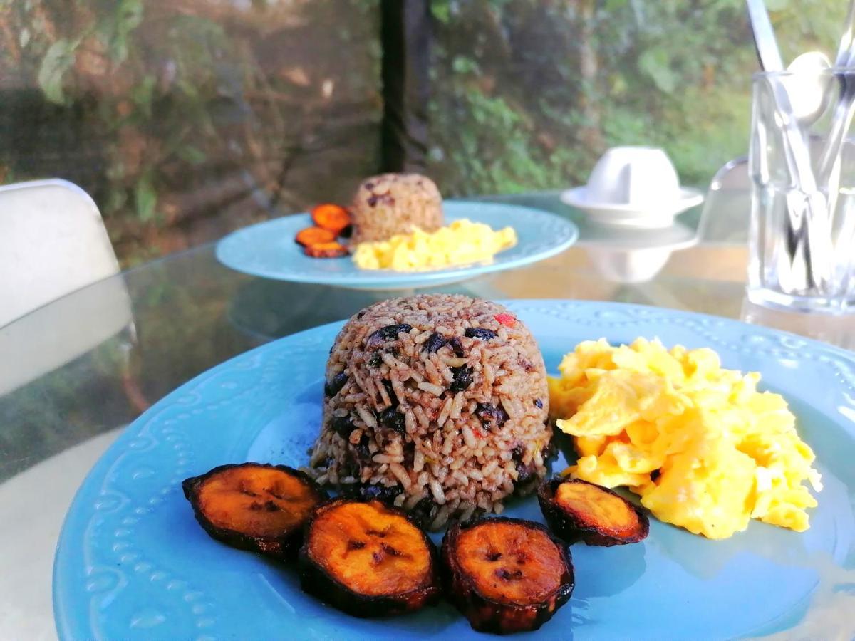 Rustico Arenal B&B La Fortuna Luaran gambar