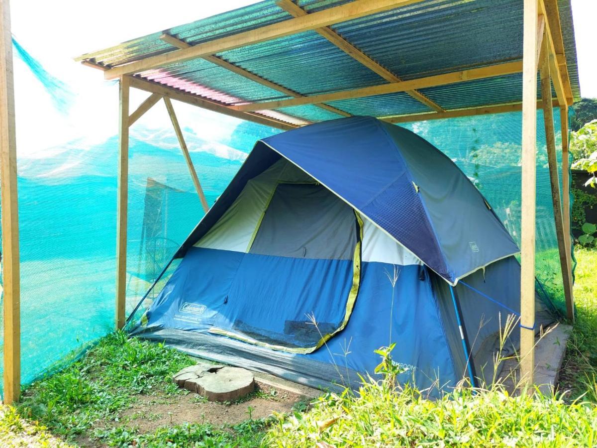 Rustico Arenal B&B La Fortuna Luaran gambar