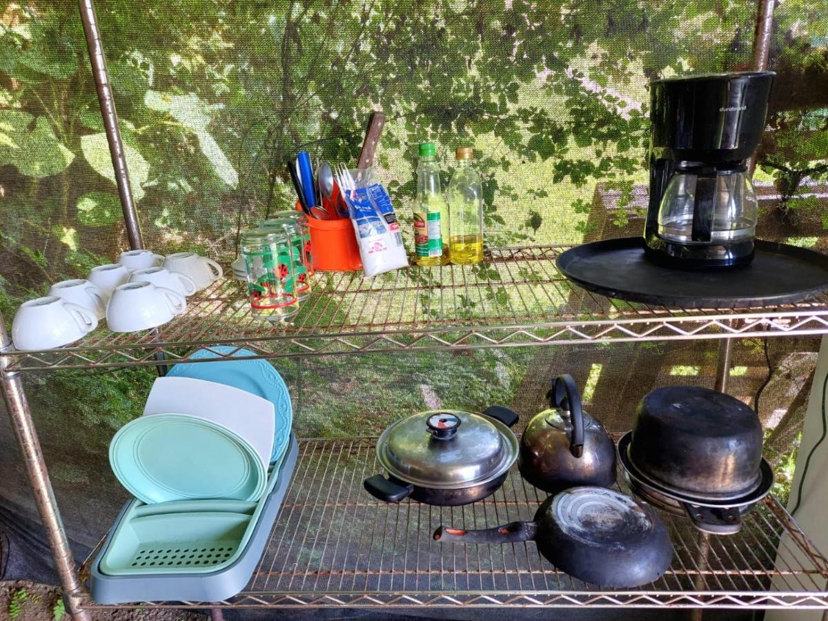 Rustico Arenal B&B La Fortuna Luaran gambar