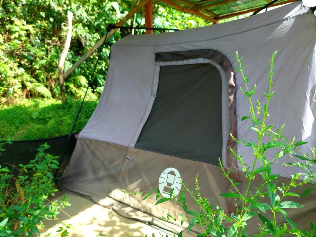 Rustico Arenal B&B La Fortuna Luaran gambar