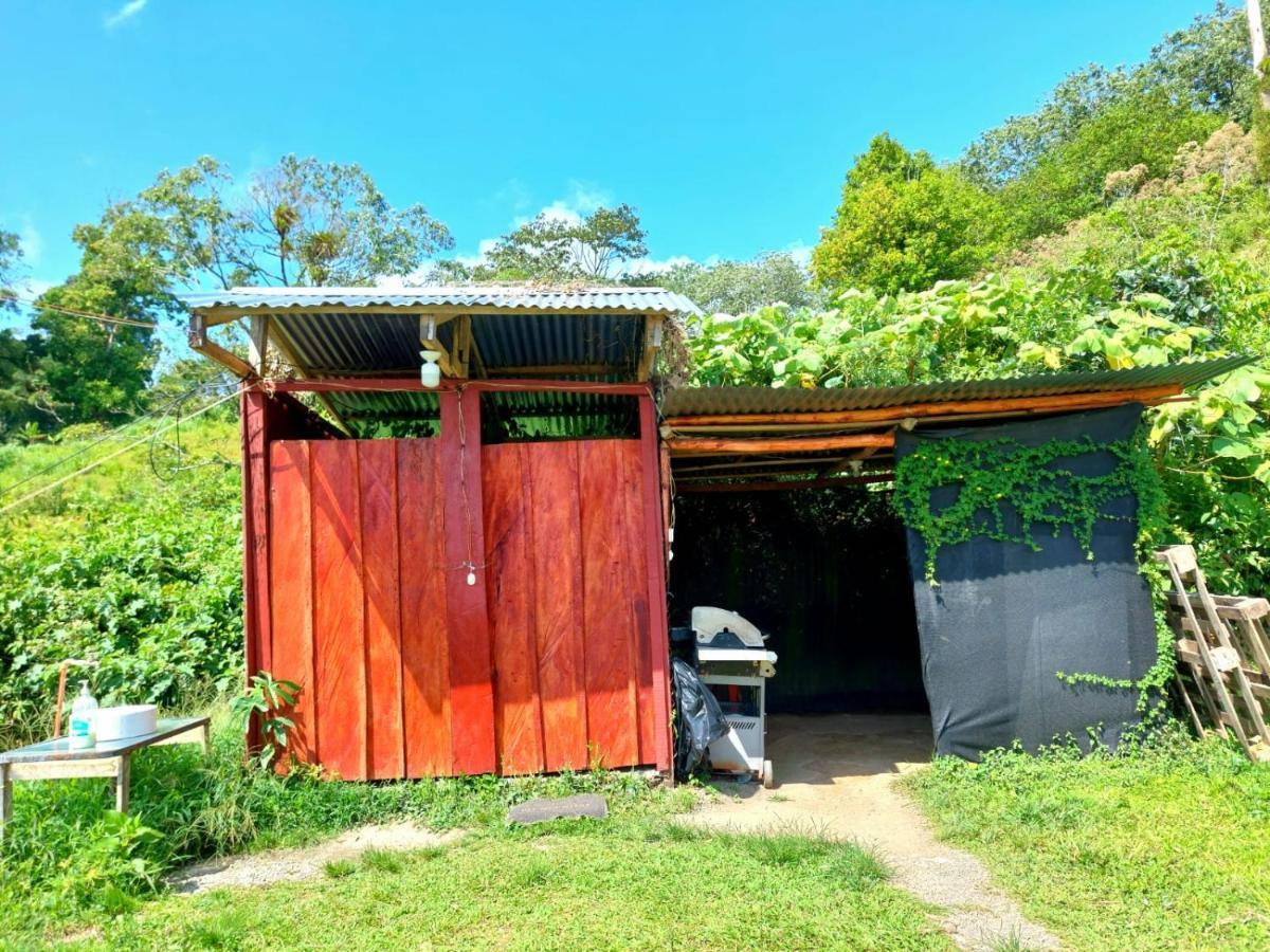 Rustico Arenal B&B La Fortuna Luaran gambar